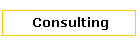 Consulting Services